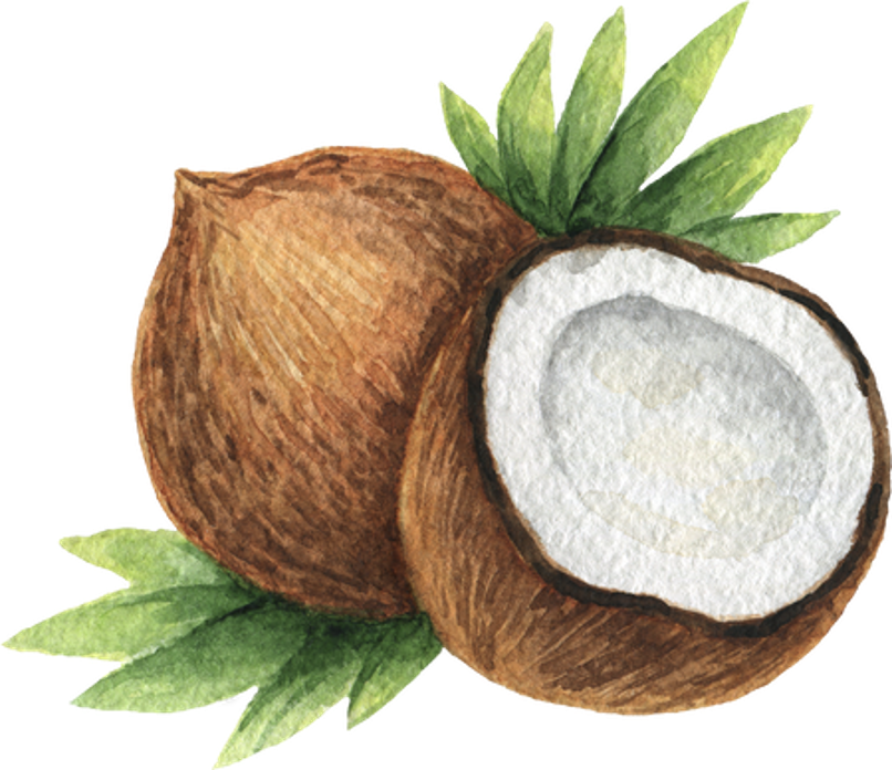 Minyak Kelapa Sumatera